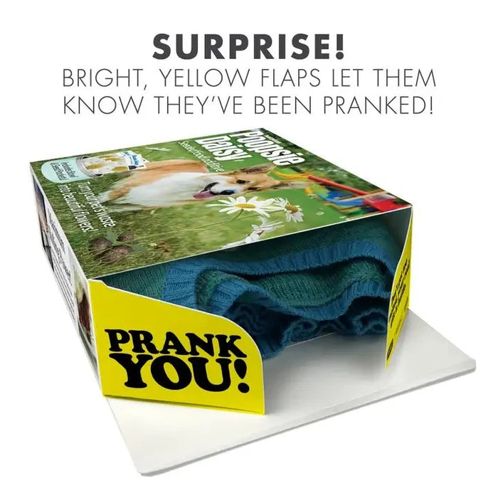 Prank Gift Box Poopsie Daisy - Wichita Home Outlet