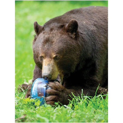 Bear Vault