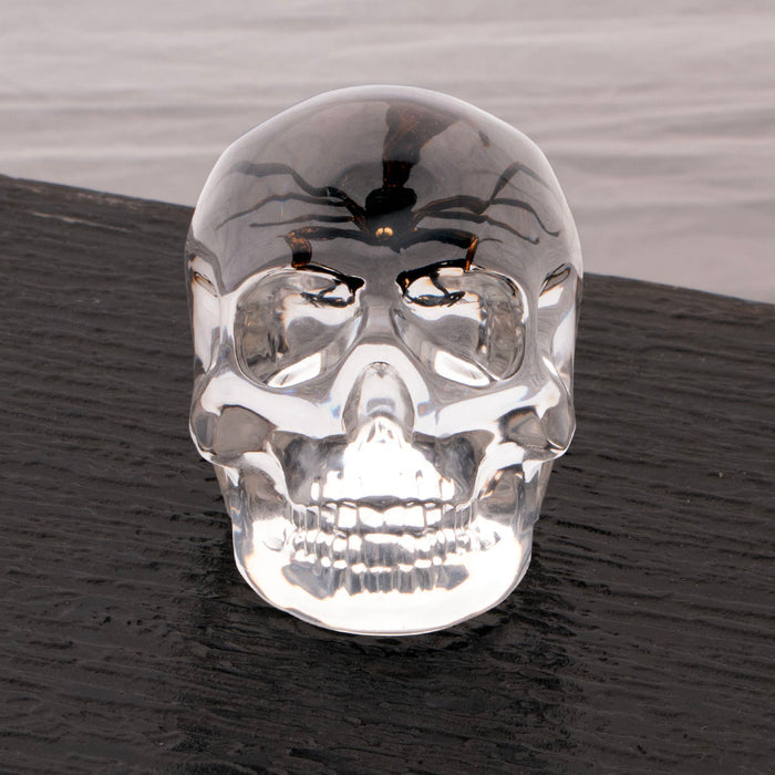 real scorpion is encased in acrylic skull desktop decoration, makes a great paperweight
