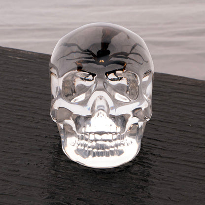 real scorpion is encased in acrylic skull desktop decoration, makes a great paperweight