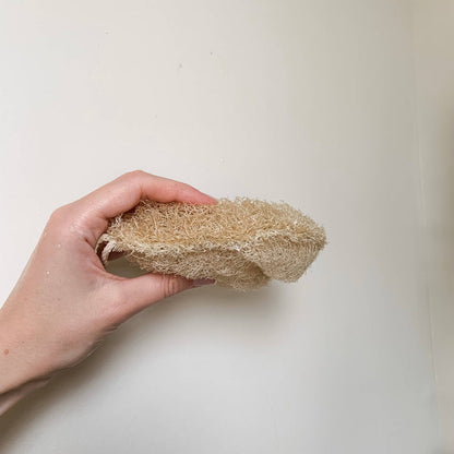 Earth Ahead - Double Layer Large Natural Loofah Sponge