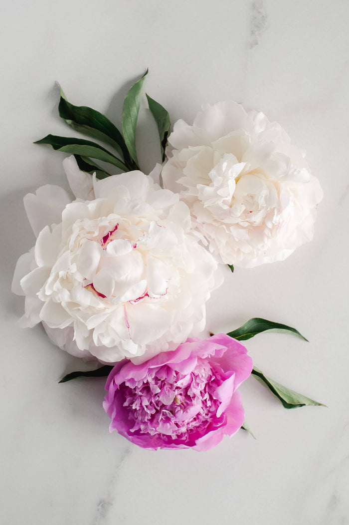 Formulary 55 - Vintage Peony Soap - Bath Bar