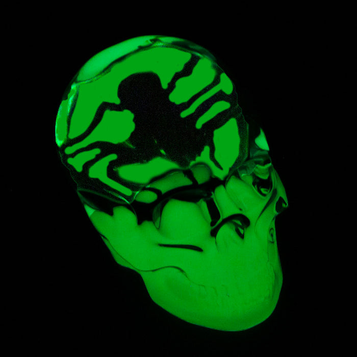 Glow in the dark clear skull with spider encased can be used as decor or a paperweight