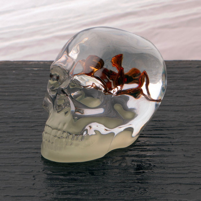 Glow in the dark clear skull with spider encased can be used as decor or a paperweight