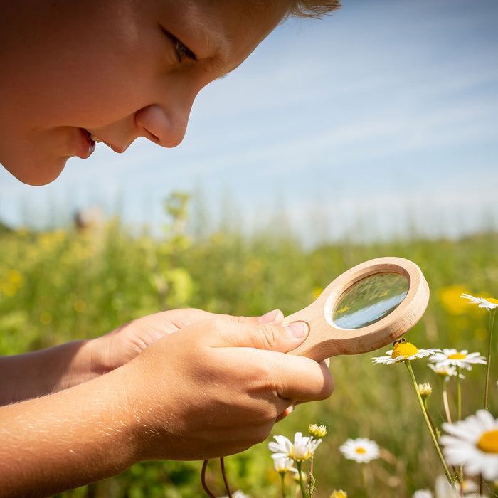 compact, portable Huckleberry Dual Magnifier has 5X and 10X magnification, perfect for viewing small bugs, leaves and rocks
