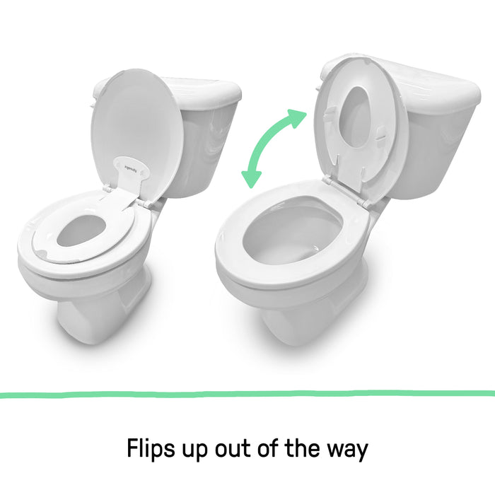 Ingenuity Flip & Sit Potty Seat