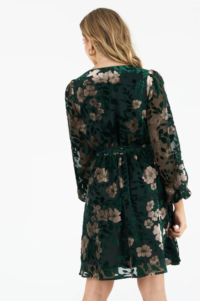 Jim Velvet Dress (Green)