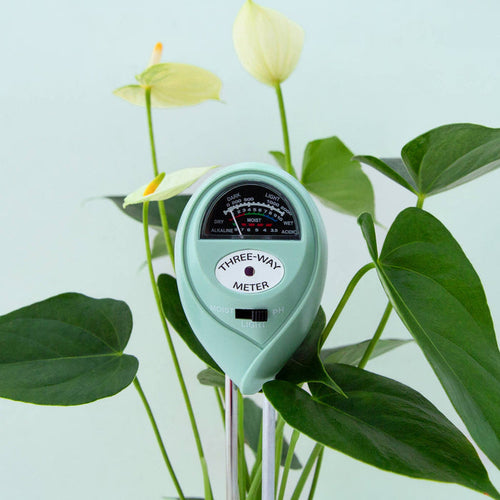 Jungle Club - 3-in-1 Moisture Meter | Lagoon