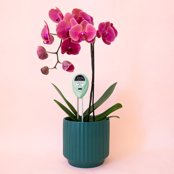 Jungle Club - 3-in-1 Moisture Meter | Lagoon