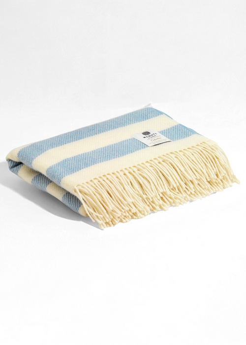McNutt Mini Blanket | Playful Blue