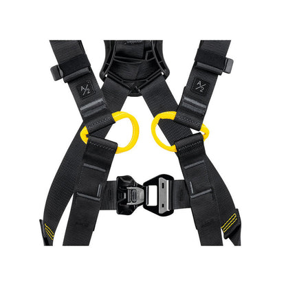 Newton International Harness