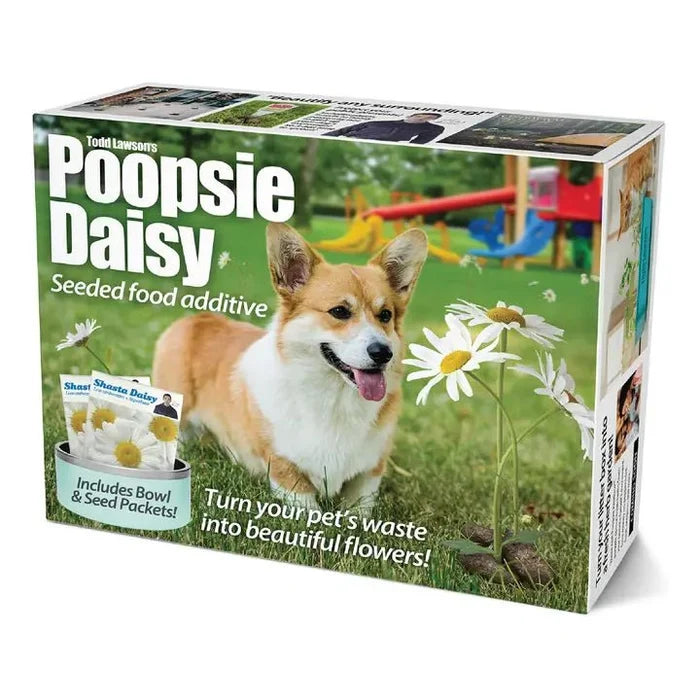 Prank Gift Box Poopsie Daisy - Wichita Home Outlet